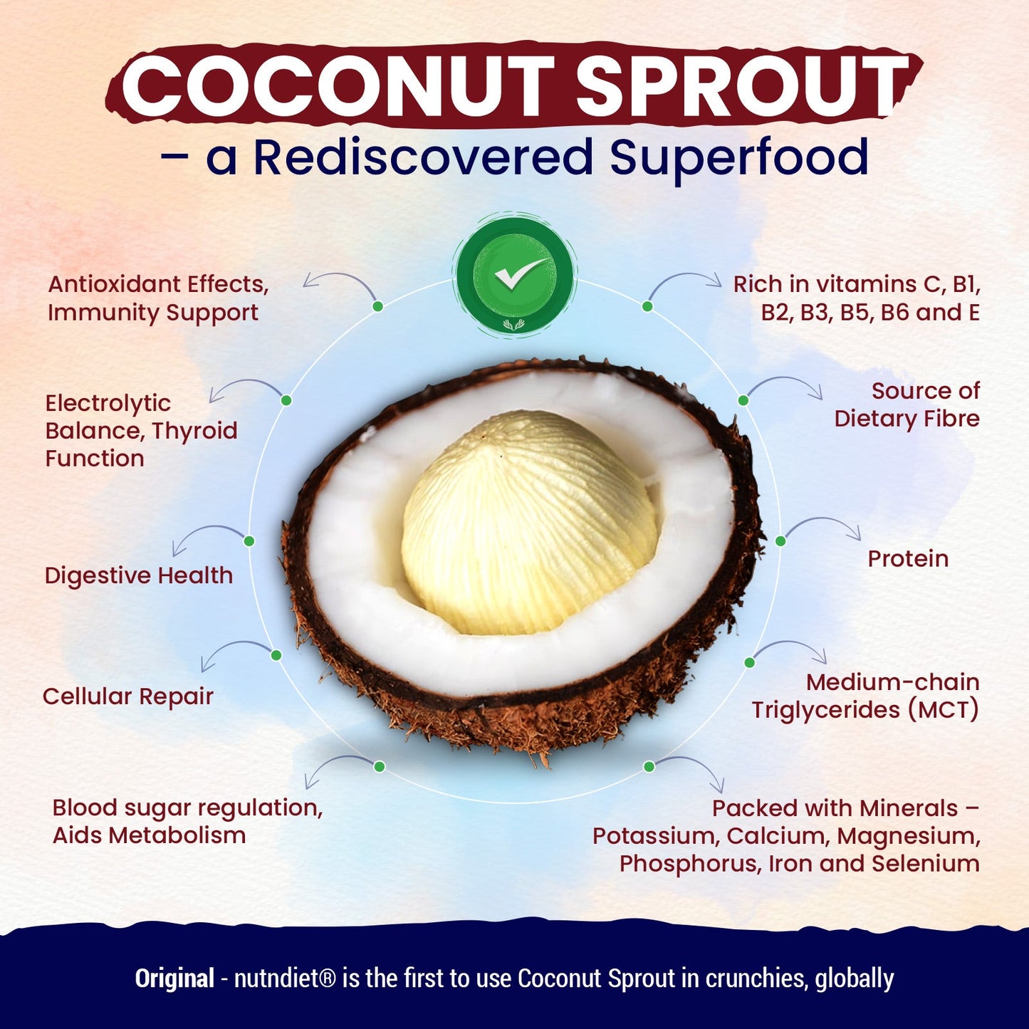 nutndiet® World's First Coconut Sprout Crunchy Millet Stars | 74% Millets | 100% Natural | Clean - label | Gluten - Free | Unrefined Sugar & Pure Honey | Kid - Approved | Parent Trusted | Peace of Mind in a Packet | 200g - nutndiet