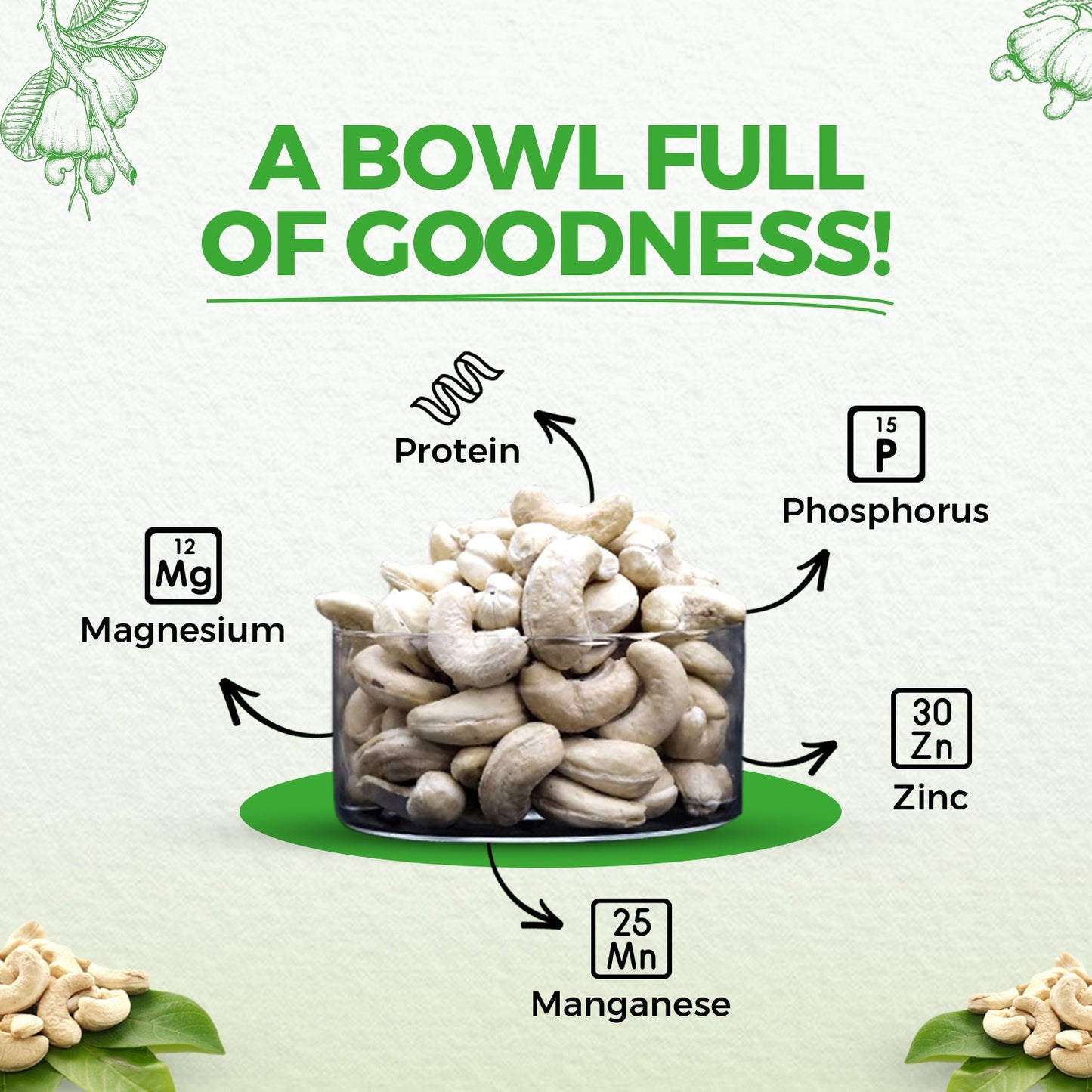 nutndiet Fresh Crunchy Standard Cashews 500g, W320 Grade medium size quality cashew nuts (kaju 500gm W320) - nutndiet