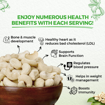 nutndiet Fresh Crunchy Standard Cashews 200g, W320 Grade Medium Size Quality Cashew Nuts  (kaju 200gm W320)